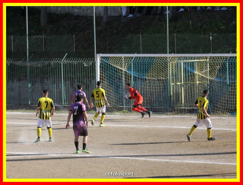190310 Cephal_Torrenov 105_tn.jpg